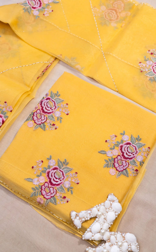 Delicate Threadwork Organza Suit Set