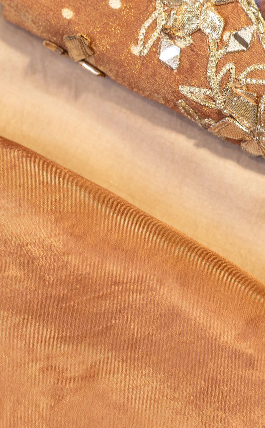 Graceful Hand-Embroidered Organza Suit Set